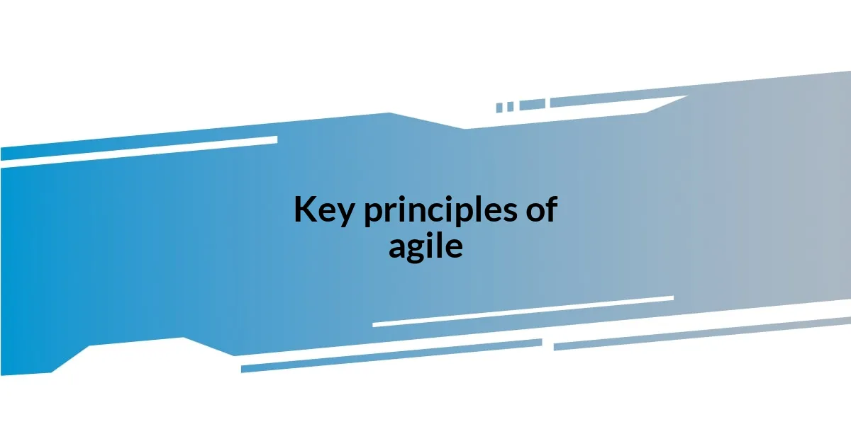 Key principles of agile